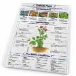 Typical Plant Chart